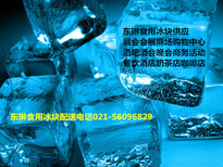 上海虹口区食用小冰块配送图片0
