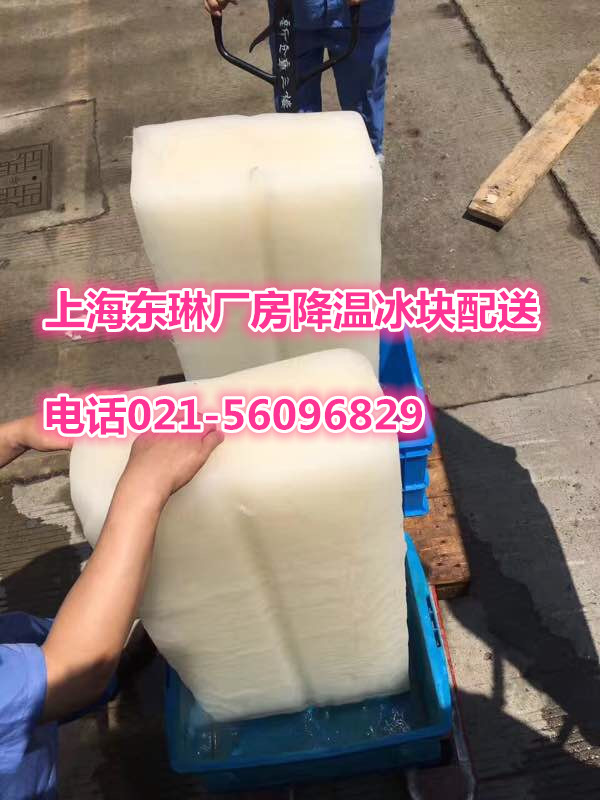上海食用小冰块销售公司