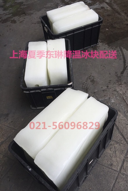 上海浦东新区食用冰批发，价格
