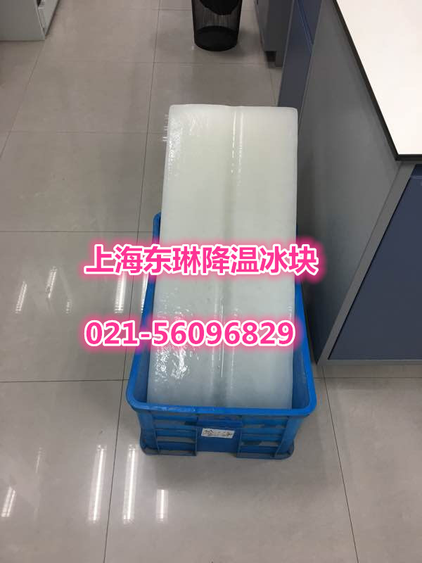 上海浦东新区食用冰配送公司