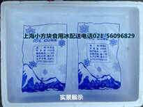 杨浦冷冻干冰配送图片0