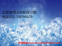 上海闵行区大冰块办公室出售购买降温冰块配送中心图片3