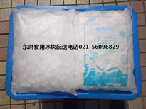 上海杨浦区大冰块办公室出售购买降温冰块价格图片0