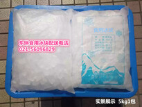 上海静安区工业大冰块公司企业订购降温冰配送中心图片5