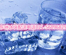 上海市降温冰块食用冰供应商图片