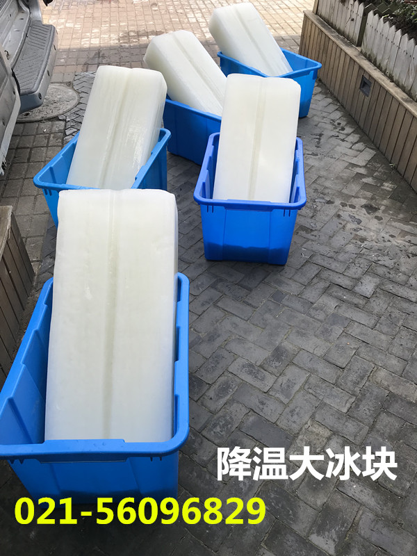 上海普陀区餐饮食用冰餐厅配送食用冰块供应商