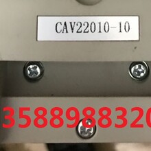 充电模块CAV22010-10