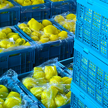 欧洲将周转箱业务广泛应用于农产品更节省成本