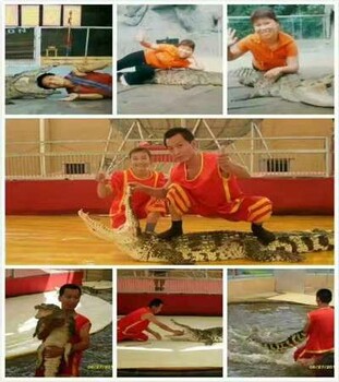 大連大型馬戲團(tuán)表演出租怎么收費(fèi)節(jié)假日活動包場