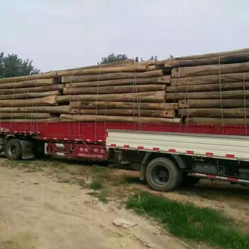 山东木材加工厂销售老榆木,邯郸山东老榆木梁大量批发安全可靠