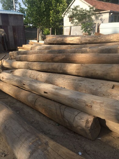 山东木材加工厂销售老榆木,赣州山东老榆木梁大量批发总代