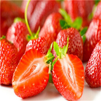 晋州分株草莓苗种植问题