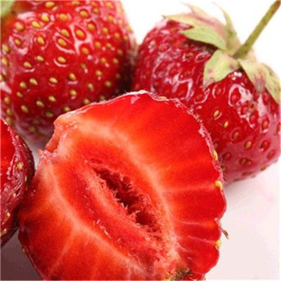常州分株草莓苗种植问题