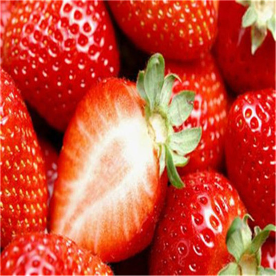 晋州分株草莓苗种植问题