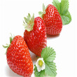贵阳幸香草莓苗货源纯正图片
