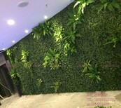 北京定做假绿植墙厂家图片2