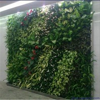 北京塑料植物墙安装定做