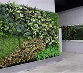 装饰仿真植物墙北京仿真绿植墙报价