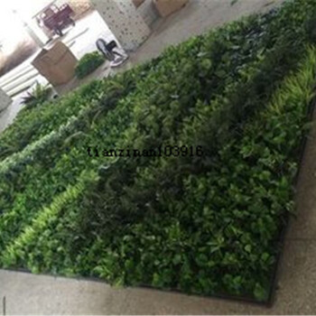 植物墻安裝價格北京仿真植物墻廠家