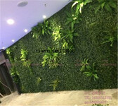 优质墙北京仿真绿植墙包柱子植物墙定做