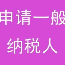 一般纳税人办理增额增量