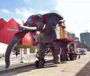 厂家全国出租巡游机械大象，专业承接唯美灯光节制作出租