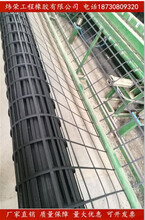 河南鹤壁市土工格栅厂家直销养鸡鸭隔离网防护网塑料网