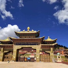 藏传宁玛修行闭关中心仿古瓦，金色寺庙瓦，新型高分子瓦质轻耐用