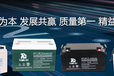 广东汤谷生产UPS蓄电池丨铅酸电池