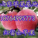 重庆红富士苹果价格四川红富士苹果价格广东红富士苹果基地天津苹果基地