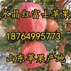 四川红富士苹果价格四川苹果批发基地四川冰糖心苹果价格