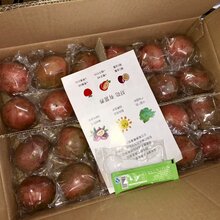 百香果包装机图片