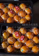 厂家直销-脐橙包装机橙子包装机水果包装机