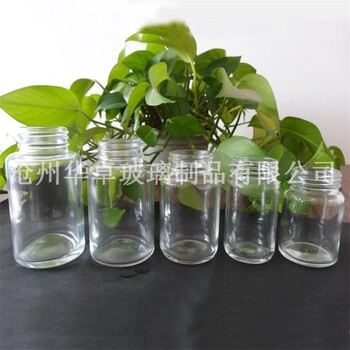 上海华卓批发大量实用的透明保健品玻璃瓶经济实用