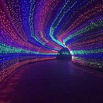 燈光藝術(shù)館展示光影展項(xiàng)目AR花海出租