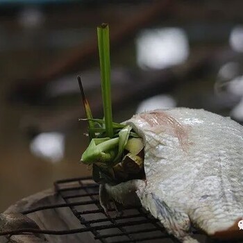 脆肉罗非鱼哪家养殖好脆肉罗非鱼批发要多少钱脆肉罗非鱼销售咨询电话