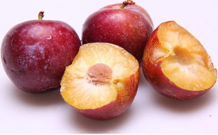 銷售脆紅李苗 當(dāng)年價(jià)格、銷售脆紅李苗批發(fā)多少錢