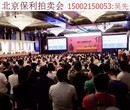 中国古董瓷器鉴定交易收藏投资价值市场参考资讯图片