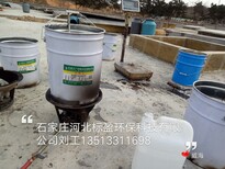 供应衡水市厂家环氧树脂无味鱼池漆图片3