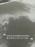 供应河北标盈石家庄厂家沧州市环氧树脂桥梁裂缝胶液图片2