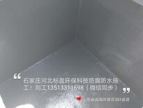 黑龙江省大庆市高铁地基裂缝修补胶图片0