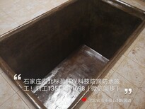 生产厂家供应福建省福州市重防腐玻璃鳞片腻子图片5