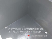 生产厂家供应福建省福州市重防腐玻璃鳞片腻子图片1