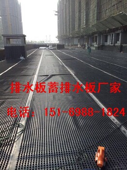 株洲2公分绿化蓄排水板//芜湖1.5公分车库排水板
