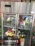 佳伯定做鲜花柜直冷花店鲜花展示柜立式冷鲜柜图片1