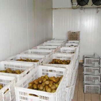 乌鲁木齐市水果蔬菜保鲜冷藏库建设