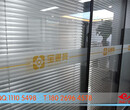 深圳南山区写字楼办公室玻璃贴腰线/防撞条，公司形象玻璃贴字喷绘广告制作图片