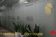 深圳南山区海岸城玻璃贴，防撞条制作安装