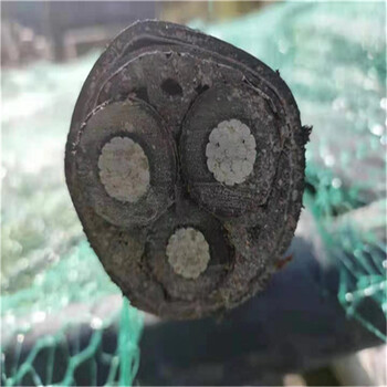 上海（回收铜芯废电缆）/上海回收旧电缆厂家