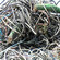 荆州回收废电缆